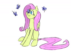 Size: 1705x1273 | Tagged: safe, artist:akweer, fluttershy, butterfly, pegasus, pony, butterfly on nose, cute, insect on nose, looking at something, no pupils, simple background, sitting, solo, white background