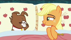 Size: 1920x1080 | Tagged: safe, edit, edited screencap, screencap, applejack, winona, earth pony, pony, 28 pranks later, applejack's bed partner, bed, exploitable meme, implied bestiality, implied interspecies, implied lesbian, meme, pillow, regret, winojack