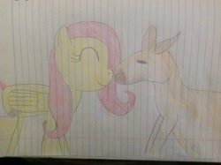 Size: 2592x1936 | Tagged: safe, artist:didgereethebrony, fluttershy, kangaroo, pegasus, pony, australia, lined paper, traditional art