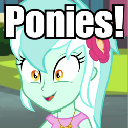 Size: 720x720 | Tagged: safe, edit, edited screencap, screencap, lyra heartstrings, all's fair in love and friendship games, equestria girls, friendship games, brony, counter-humie, fangirl, humie, image macro, in-universe pegasister, meme, role reversal, text, that human sure does love ponies, that pony sure does love humans
