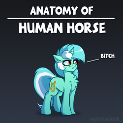 Size: 4000x4000 | Tagged: safe, artist:witchtaunter, lyra heartstrings, pony, unicorn, :t, absurd resolution, anatomy guide, angry, bitch, chest fluff, cute, cutie mark, ear fluff, female, floppy ears, fluffy, frown, glare, gradient background, gray background, grumpy, hoof fluff, humie, leg fluff, lyra is not amused, lyrabetes, madorable, mare, scrunchy face, shoulder fluff, simple background, solo, unamused, unshorn fetlocks, vulgar, wavy mouth