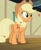 Size: 508x618 | Tagged: safe, screencap, applejack, earth pony, pony, the cutie pox, cropped, female, mare, plot