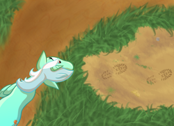 Size: 3744x2717 | Tagged: safe, artist:dyonys, lyra heartstrings, pony, unicorn, footprint, from above, solo