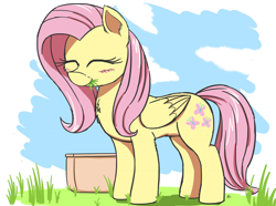 Size: 2600x1938 | Tagged: safe, artist:j24262756, fluttershy, pegasus, pony, atg 2017, cute, eating, eyes closed, female, grass, grazing, horses doing horse things, mare, newbie artist training grounds, shyabetes, smiling, solo