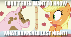 Size: 918x474 | Tagged: safe, edit, edited screencap, screencap, applejack, earth pony, pig, pony, 28 pranks later, applejack's bed partner, bed, blushing, caption, exploitable meme, female, hangover, image macro, implied bestiality, mare, meme, out of context, pillow, shocked