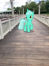 Size: 3024x4032 | Tagged: safe, photographer:undeadponysoldier, lyra heartstrings, pony, unicorn, augmented reality, bridge, deck, disney springs, disney world, downtown disney, female, florida, gameloft, irl, mare, orlando, photo, ponies in real life, solo