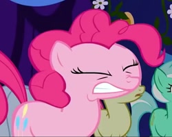 Size: 659x527 | Tagged: safe, screencap, bon bon, lyra heartstrings, pinkie pie, sweetie drops, earth pony, pony, friendship is magic, cropped, eyes closed, solo focus