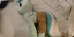 Size: 4000x2000 | Tagged: safe, artist:hoppip, lyra heartstrings, pony, unicorn, autograph, background pony, clothes, female, irl, lauren faust, lyra plushie, mare, pants, photo, plothole plush lyra, plushie, signed, solo