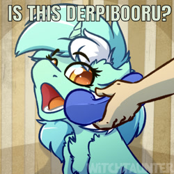 Size: 638x637 | Tagged: safe, artist:witchtaunter, edit, editor:undeadponysoldier, lyra heartstrings, human, pony, unicorn, chest fluff, cute, derpibooru, female, lyrabetes, mare, meta, open mouth, phine, ponified animal photo, text, watermark, yes this is dog