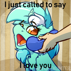 Size: 1000x1000 | Tagged: safe, artist:witchtaunter, edit, editor:didgereethebrony, lyra heartstrings, pony, unicorn, behaving like a dog, caption, i just called to say i love you, image macro, meme, ponified animal photo, solo, song reference, stevie wonder, text, yes this is dog