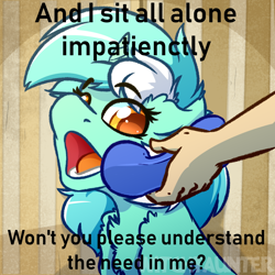 Size: 1000x1000 | Tagged: safe, artist:witchtaunter, edit, editor:didgereethebrony, lyra heartstrings, pony, unicorn, abba, behaving like a dog, meme, ponified animal photo, ring ring, solo, song reference, yes this is dog