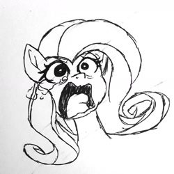 Size: 1830x1831 | Tagged: safe, artist:binkyt11, derpibooru exclusive, fluttershy, pegasus, pony, crying, faic, monochrome, screaming, solo, war face