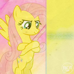 Size: 800x800 | Tagged: safe, artist:hornflakes, artist:penguinsn1fan, fluttershy, pegasus, pony, cover, kelly clarkson, parody, solo