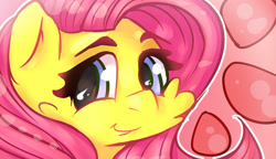 Size: 3480x2000 | Tagged: safe, artist:woofmaple, fluttershy, pegasus, pony, blue eyes, bust, portrait, simple background, solo