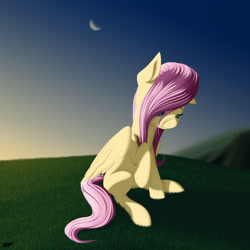 Size: 3300x3300 | Tagged: safe, artist:styroponyworks, fluttershy, pegasus, pony, anatomically incorrect, female, grass, grass field, incorrect leg anatomy, looking away, looking down, mare, moon, outdoors, raised hoof, sad, sitting, sky, solo, stray strand, three quarter view, wings