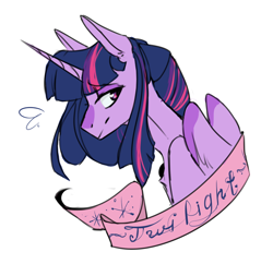 Size: 792x767 | Tagged: safe, artist:chernika-ki, derpibooru import, twilight sparkle, twilight sparkle (alicorn), alicorn, pony, female, mare, old banner, solo