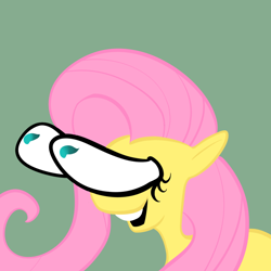 Size: 900x900 | Tagged: safe, fluttershy, pegasus, pony, female, mare, solo, wat, wtf