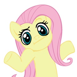 Size: 442x442 | Tagged: safe, fluttershy, pegasus, pony, female, looking at you, shrug, shrugpony, solo