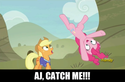 Size: 1278x842 | Tagged: safe, screencap, applejack, pinkie pie, earth pony, pony, buckball season, discovery family logo