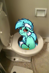 Size: 2740x4000 | Tagged: safe, artist:witchtaunter, lyra heartstrings, pony, unicorn, abuse, but why, crying, irl, l.u.l.s., lyrabuse, photo, ponies in real life, sitting, solo, toilet