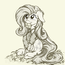 Size: 3024x3024 | Tagged: safe, artist:check3256, fluttershy, pegasus, pony, clothes, cute, floppy ears, hug request, hugs?, jacket, looking up, monochrome, mouth hold, note, shyabetes, sign, sitting, smiling, solo