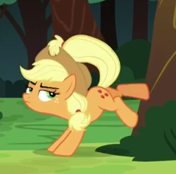 Size: 273x270 | Tagged: safe, screencap, applejack, earth pony, pony, buckball season, solo