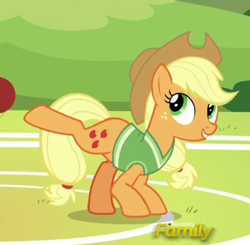 Size: 342x335 | Tagged: safe, screencap, applejack, earth pony, pony, buckball season, discovery family logo, solo