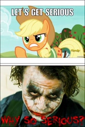 Size: 640x960 | Tagged: safe, applejack, earth pony, pony, buckball season, batman, dark knight, meme, text, the joker, why so serious?