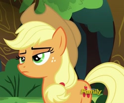 Size: 1016x847 | Tagged: safe, screencap, applejack, earth pony, pony, buckball season, applejack is not amused, cropped, discovery family logo, solo, unamused