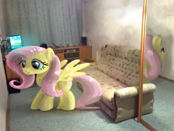 Size: 1296x972 | Tagged: safe, anonymous artist, fluttershy, pony, irl, mirror, photo, photomanipulation, ponies in real life, solo