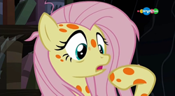 Size: 854x470 | Tagged: safe, screencap, fluttershy, pegasus, pony, a health of information, carousel (tv channel), female, mare, messy mane, sick, solo, spots, swamp fever