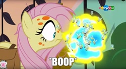 Size: 909x500 | Tagged: safe, fluttershy, flash bee, pegasus, pony, a health of information, boop, carousel (tv channel)