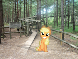 Size: 3648x2736 | Tagged: safe, artist:harpycross, applejack, absurd file size, bridge, forest, grin, hiking, irl, looking at you, photo, ponies in real life, raised hoof, smiling, solo, trail