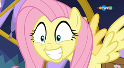 Size: 854x470 | Tagged: safe, screencap, fluttershy, pegasus, pony, a health of information, carousel (tv channel), cute, female, grin, mare, shyabetes, smiling, solo, spread wings, wings