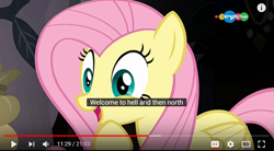 Size: 1273x704 | Tagged: safe, screencap, fluttershy, pegasus, pony, a health of information, carousel (tv channel), meme, solo, youtube caption