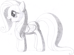 Size: 1915x1421 | Tagged: safe, artist:aafh, fluttershy, pegasus, pony, monochrome, solo, traditional art