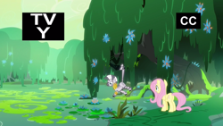 Size: 1920x1080 | Tagged: safe, screencap, fluttershy, zecora, pegasus, pony, zebra, a health of information, criss cross moss, everfree forest, hanging, prehensile tail, swamp, swamp fever plant, tail, tail pull, tv-y