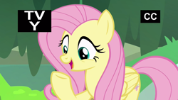 Size: 1920x1080 | Tagged: safe, screencap, fluttershy, pegasus, pony, a health of information, cute, female, mare, open mouth, raised hoof, shyabetes, smiling, solo, tv-y