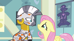 Size: 1920x1080 | Tagged: safe, screencap, fluttershy, zecora, pegasus, pony, zebra, a health of information, cute, duo, ear piercing, earring, female, floppy ears, frown, jewelry, mare, neck rings, piercing, raised hoof, sad, shyabetes, sick, spots, swamp fever