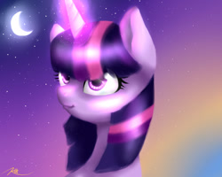 Size: 1024x819 | Tagged: safe, artist:kayak94, derpibooru import, twilight sparkle, pony, unicorn, female, mare, multicolored mane, purple coat, solo