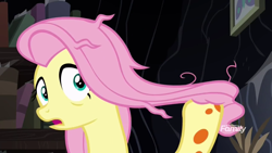 Size: 1920x1080 | Tagged: safe, screencap, fluttershy, pegasus, pony, a health of information, discovery family logo, solo, swamp fever