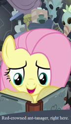 Size: 375x650 | Tagged: safe, edit, edited screencap, screencap, fluttershy, pegasus, pony, a health of information, cropped, text, that pony sure does love animals