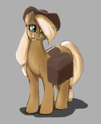 Size: 900x1110 | Tagged: safe, artist:narisoval, applejack, earth pony, pony, saddle bag, simple background, solo