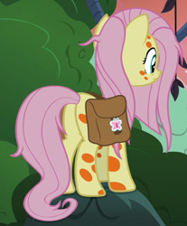 Size: 556x670 | Tagged: safe, screencap, fluttershy, pegasus, pony, a health of information, cropped, female, mare, plot, saddle bag, solo