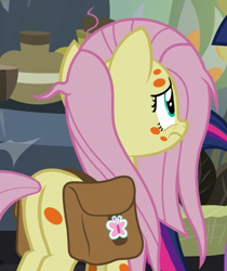 Size: 466x555 | Tagged: safe, screencap, fluttershy, pegasus, pony, a health of information, cropped, plot, saddle bag