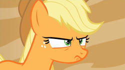 Size: 1575x880 | Tagged: safe, screencap, applejack, earth pony, pony, viva las pegasus, faic