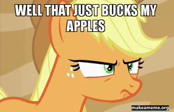 Size: 578x372 | Tagged: safe, edit, edited screencap, screencap, applejack, earth pony, pony, viva las pegasus, angry, caption, image macro, meme, solo, that x's applejack's y, watermark