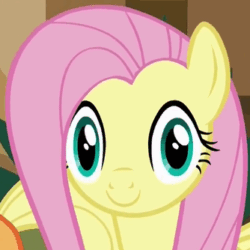 Size: 334x334 | Tagged: safe, screencap, applejack, fluttershy, earth pony, pegasus, pony, viva las pegasus, faic, las pegasus stare, reaction image, smiling