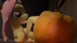 Size: 1280x720 | Tagged: safe, artist:theacepony, fluttershy, bat pony, 3d, flutterbat, pumpkin, race swap, source filmmaker