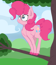 Size: 1621x1861 | Tagged: safe, artist:paskanaakka, derpibooru exclusive, pinkie pie, earth pony, pony, balancing, behaving like a bird, chest fluff, cloud, colored hooves, cute, ear fluff, female, frown, leg fluff, looking up, mare, pouting, solo, tree, tree branch, unshorn fetlocks